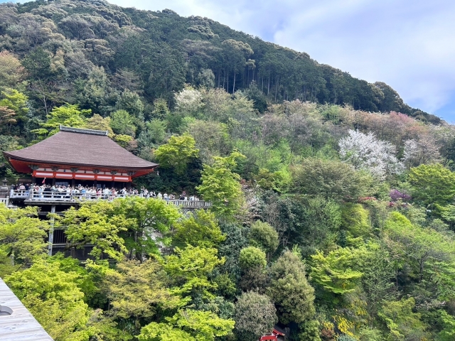 【京都府京都市】行楽シーズン到来！日本国内の人気が高い観光地10選！食べ歩きで行くならここ│グルメ特産おすすめレジャースポット施設情報